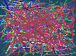 spy detective software